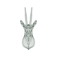 Line Art Other