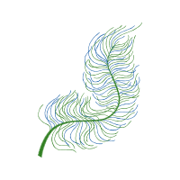 Line Art Other