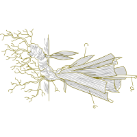 Line Art Other