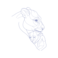 Line Art Other
