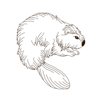 Line Art Other