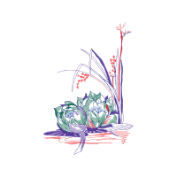 Line Art Other