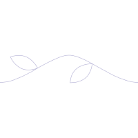 Line Art Other