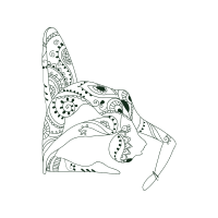 Line Art Other