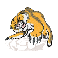 Lion Other