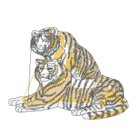 Lion Other