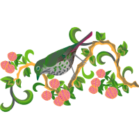 Lizards Other