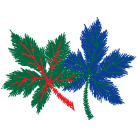 Loblolly Pine Other