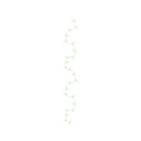 M 02Csf Other
