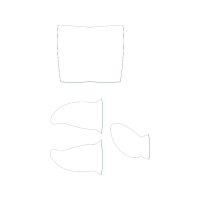 M 02Csf Other
