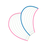 M 02Csf Other
