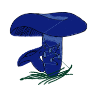 M 02Csf Other