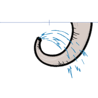 M 02Csf Other