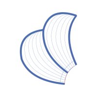 M 02Csf Other