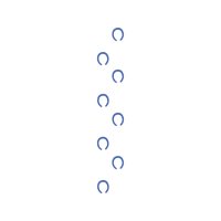 M 02Csf Other