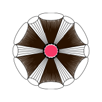 M 02Csf Other