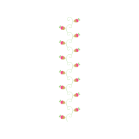 M 02Csf Other