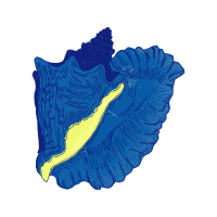 M 02Csf Other