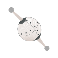 M 02Csf Other