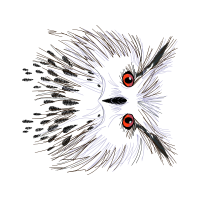 M 02Csf Other