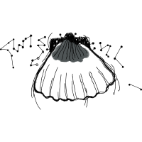 M 02Csf Other