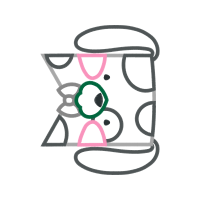 M 02Csf Other