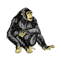 Macaques Other