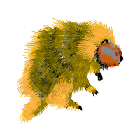 Mammal Other