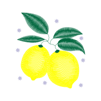 Mandarin Orange Other