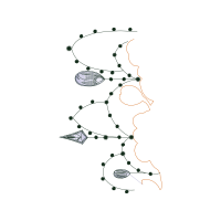 Map Other
