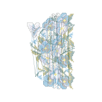 Map Other