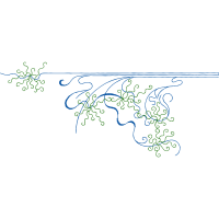 Map Other