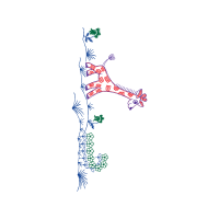 Map Other