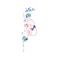 Map Other