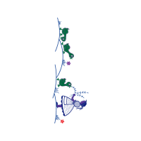 Map Other