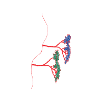 Map Other