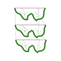 Map Other