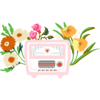Marguerite Daisy Other
