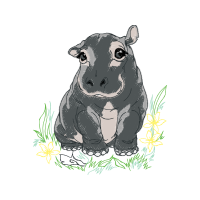 Marsupials Other
