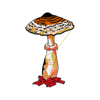 Medicine Other