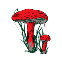Medicine Other