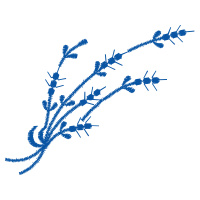 Meter Other
