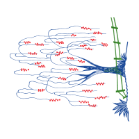 Meter Other