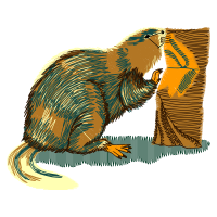 Michael Marmot Other