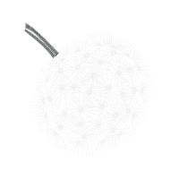 Monochrome Photography Other