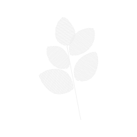 Monochrome Photography Other