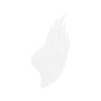 Monochrome Photography Other