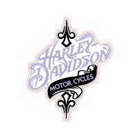 Motorcycle Helmet Other