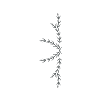 Mp10S027T16X26 Other