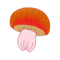 Mushroom Other
